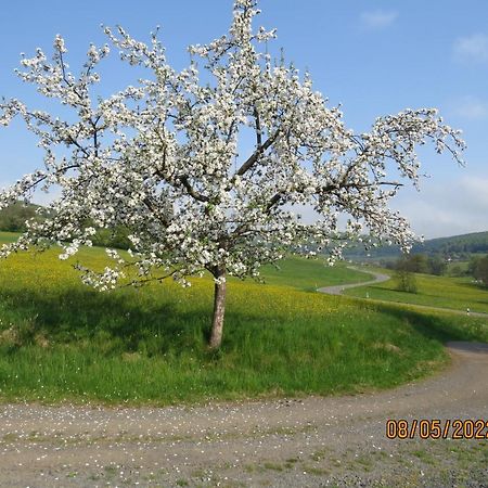 Ferienwohnung Rhoen Kaltennordheim Dış mekan fotoğraf